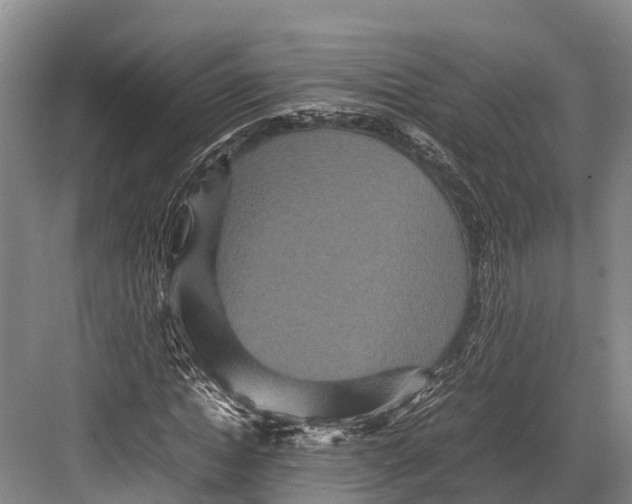 X0000082720822200702161839