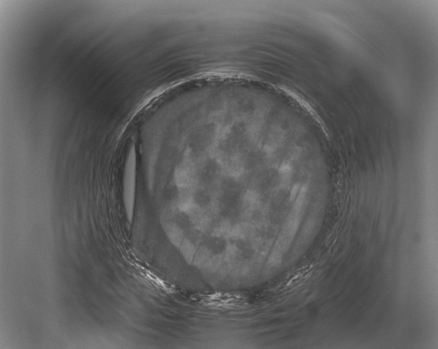 X0000082720823200702161839