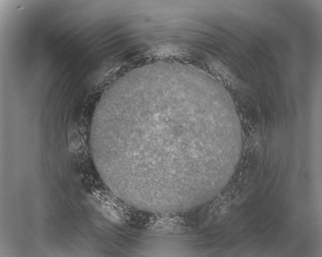 X0000082720824200702161839