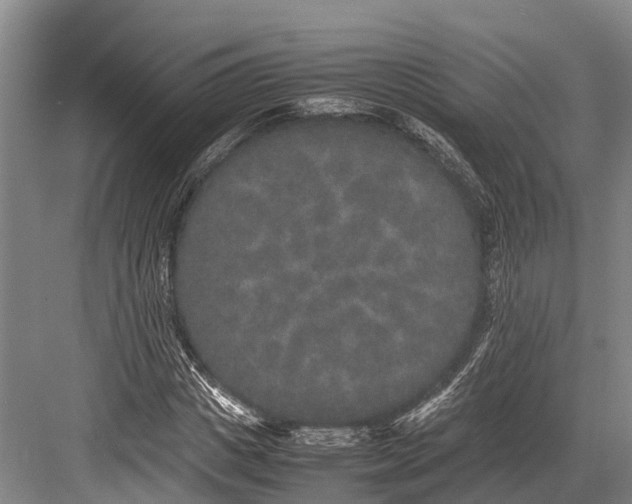 X0000082720825200702161839