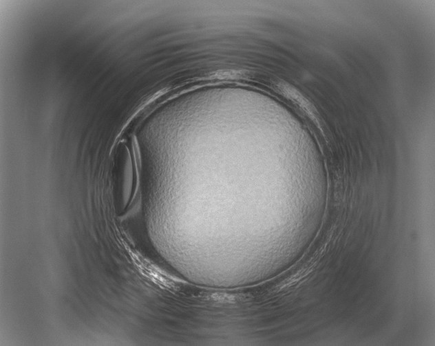 X0000082720827200702161839