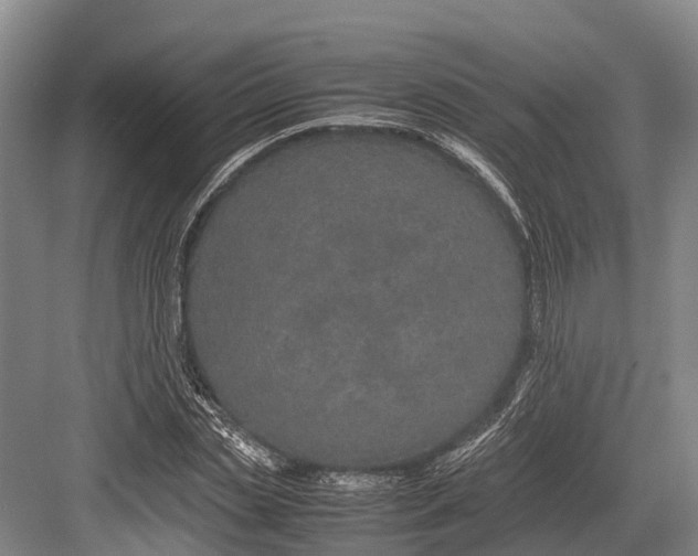 X0000082720829200702161839