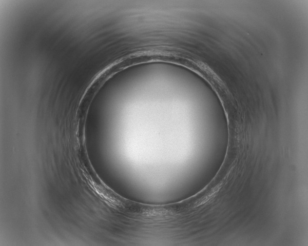 X0000082720830200702161839