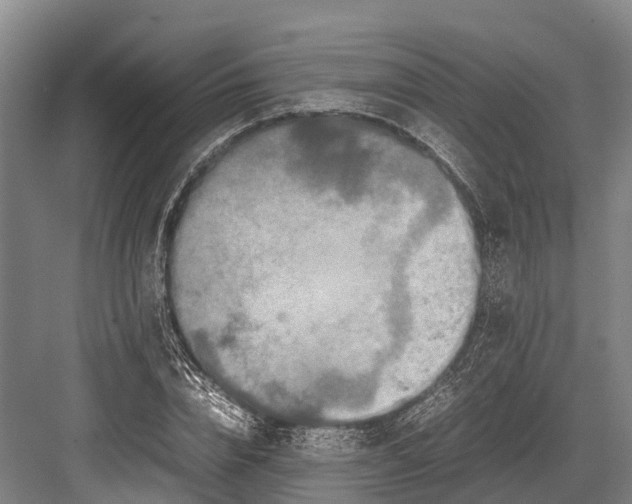 X0000082720832200702161839