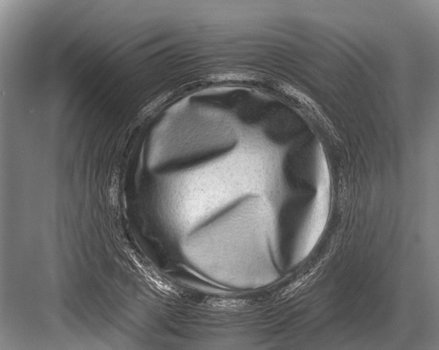 X0000082720833200702161839