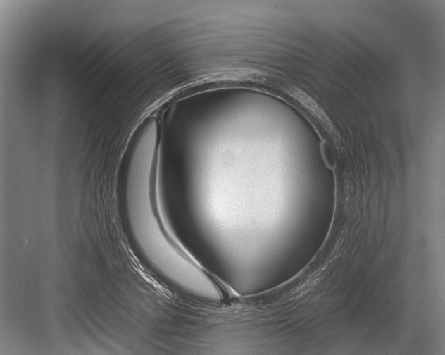 X0000082720834200702161839