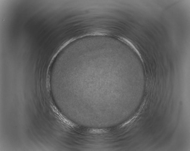 X0000082720835200702161839