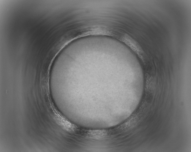 X0000082720836200702161839