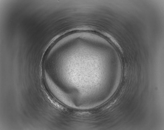 X0000082720837200702161839