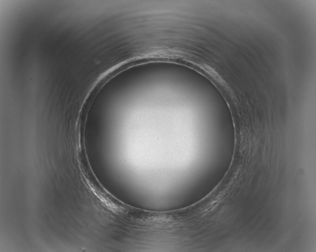 X0000082720838200702161839