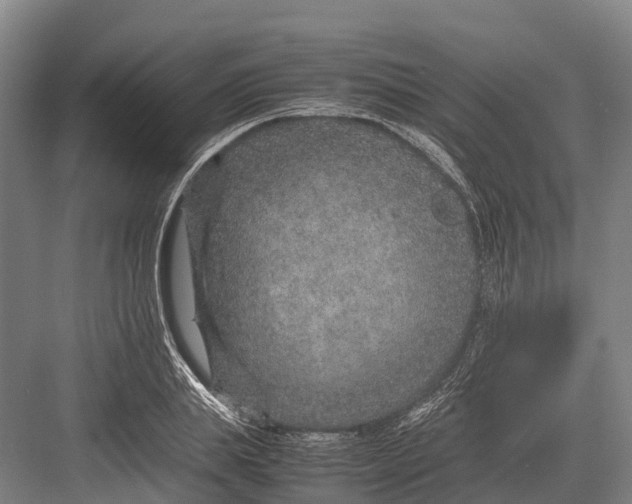 X0000082720839200702161839