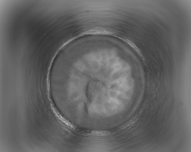 X0000082720840200702161839