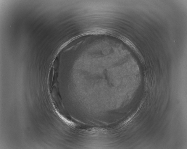 X0000082720842200702161839