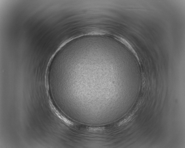 X0000082720843200702161839