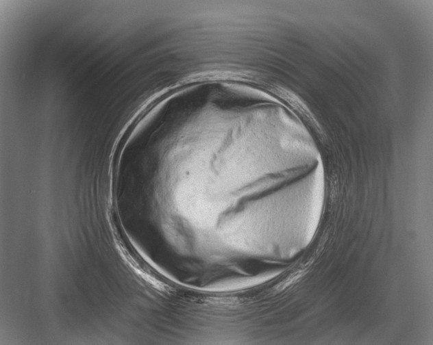 X0000082720844200702161839