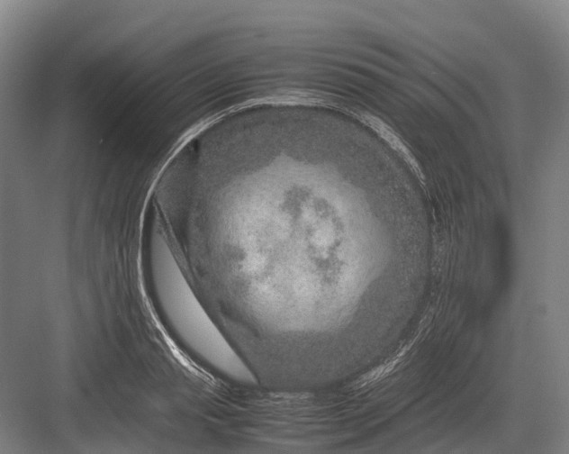 X0000082720845200702161839