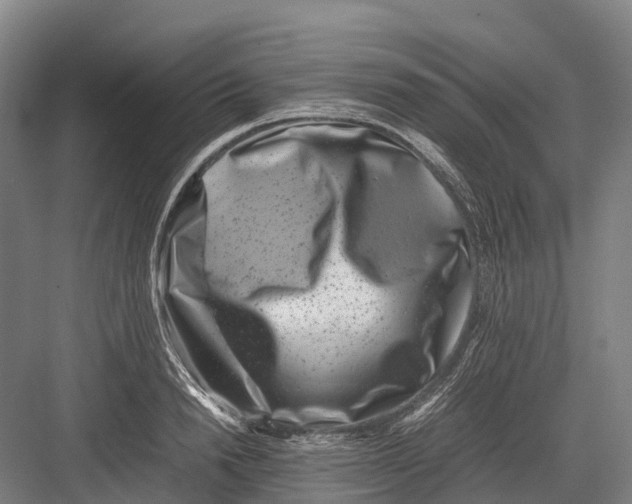 X0000082720846200702161839