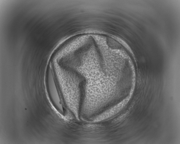 X0000082720847200702161839