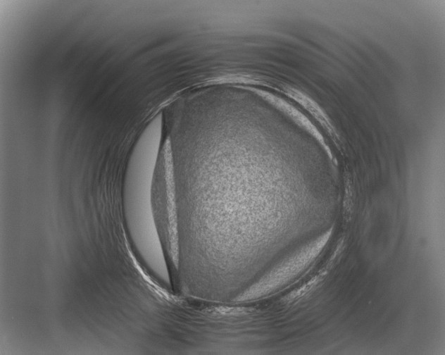 X0000082720849200702161839