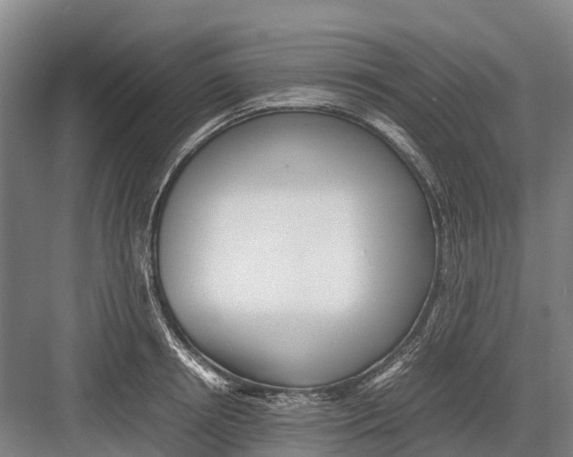 X0000082720850200702161839