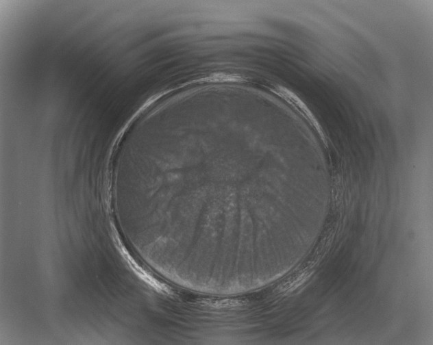 X0000082720851200702161839