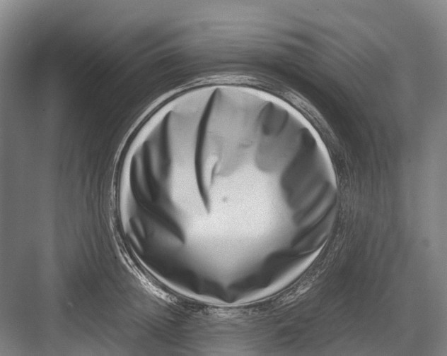 X0000082720852200702161839