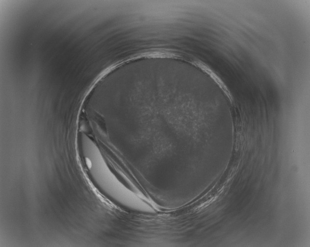 X0000082720853200702161839