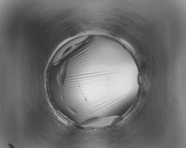 X0000082720854200702161839