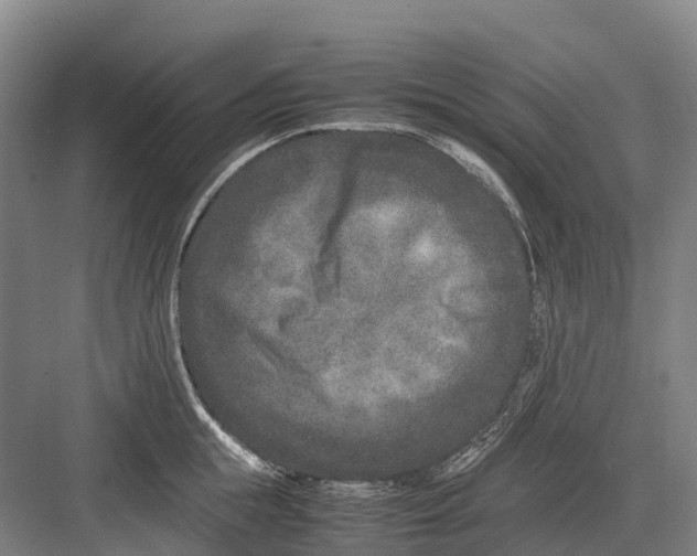 X0000082720855200702161839