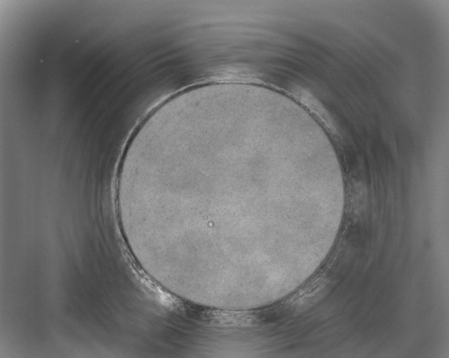 X0000082720856200702161839