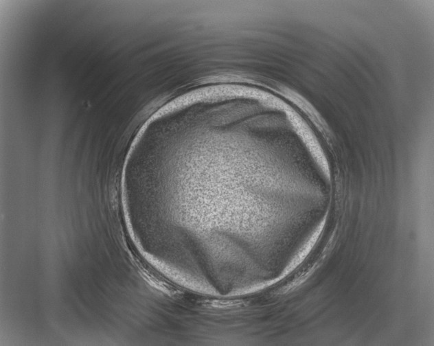 X0000082720857200702161839