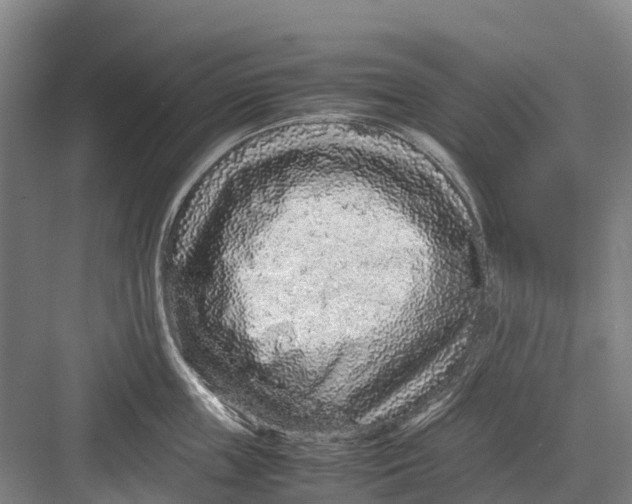 X0000082720859200702161839