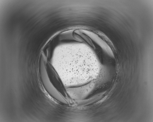 X0000082720860200702161839