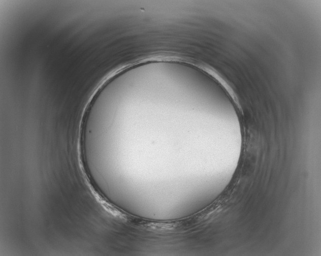 X0000082720861200702161839