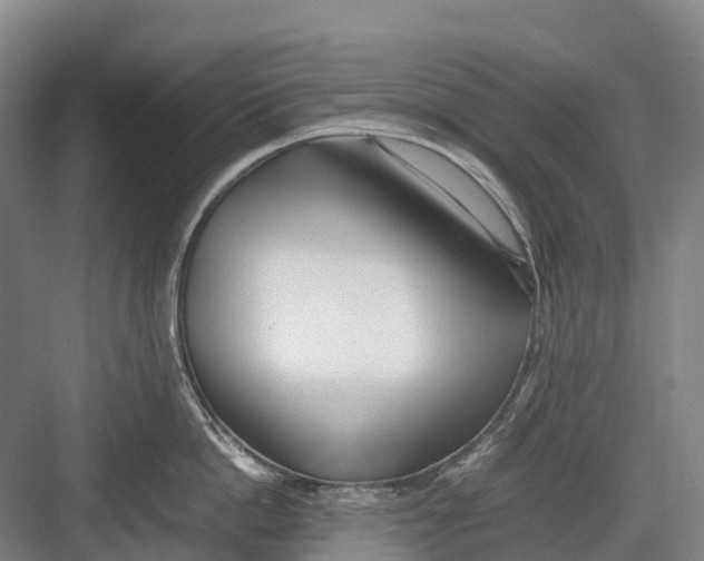 X0000082720862200702161839