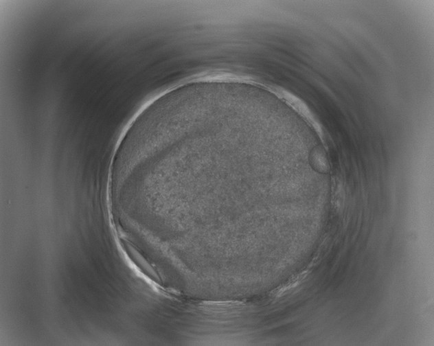 X0000082720863200702161839