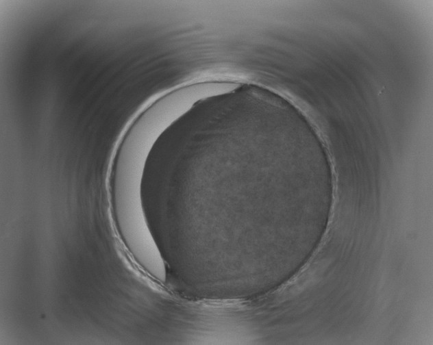 X0000082720864200702161840