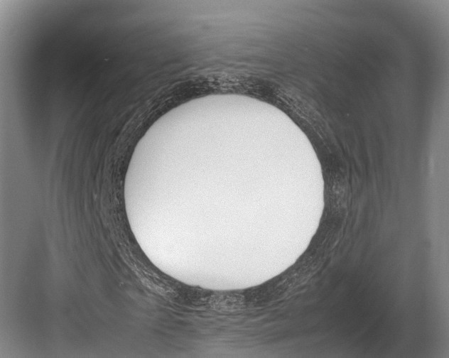 X0000082720865200702161839