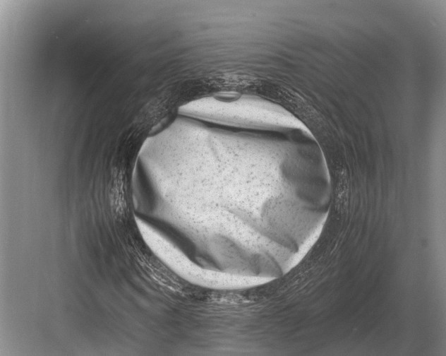 X0000082720866200702161839