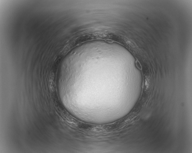 X0000082720867200702161839