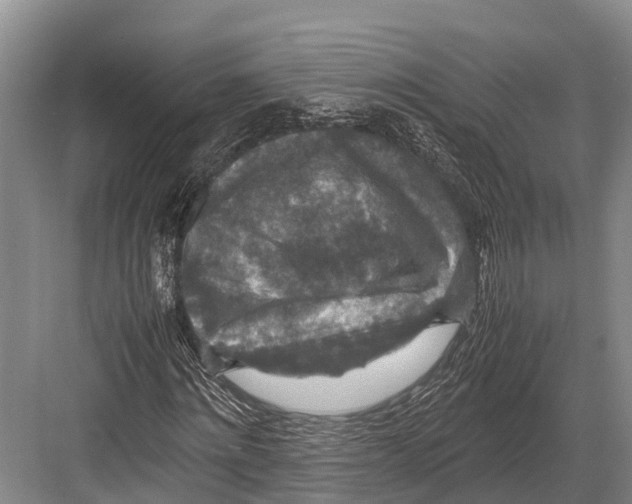 X0000082720868200702161839