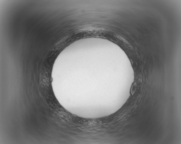 X0000082720869200702161839