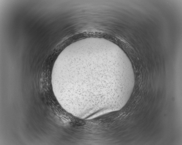 X0000082720870200702161839