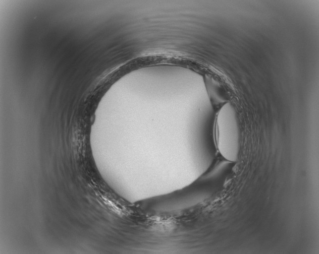 X0000082720872200702161839