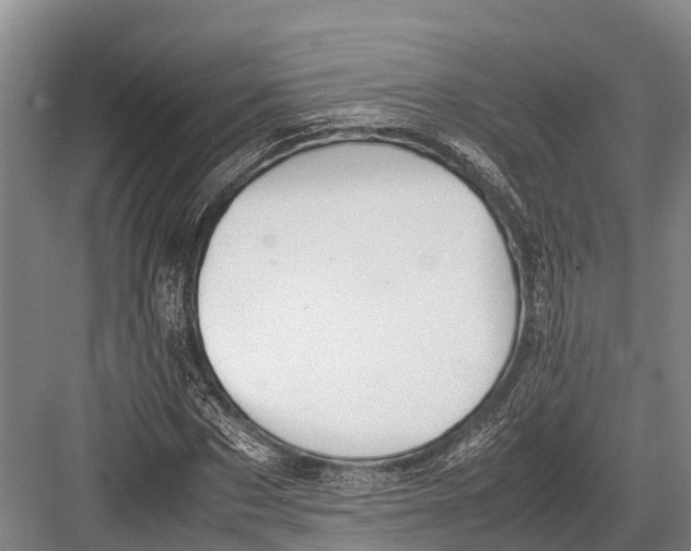 X0000082720873200702161839