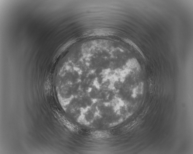 X0000082720874200702161839