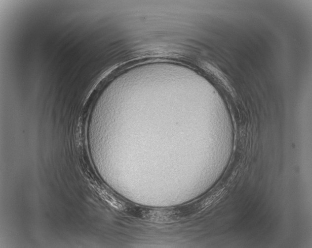 X0000082720875200702161839