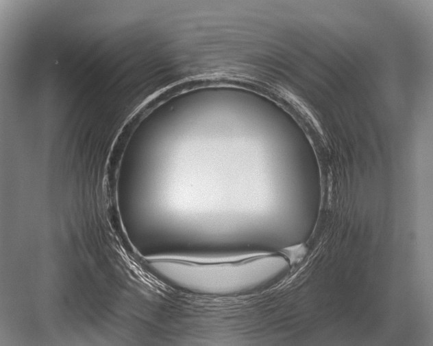 X0000082720876200702161839