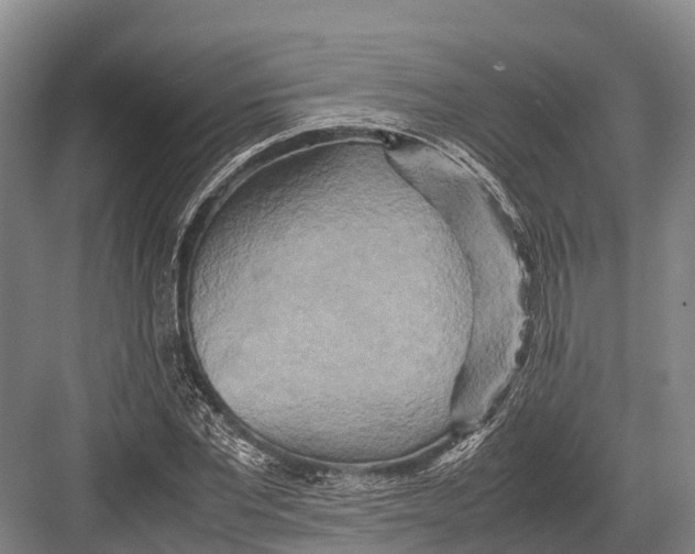 X0000082720877200702161839