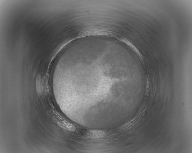 X0000082720878200702161838